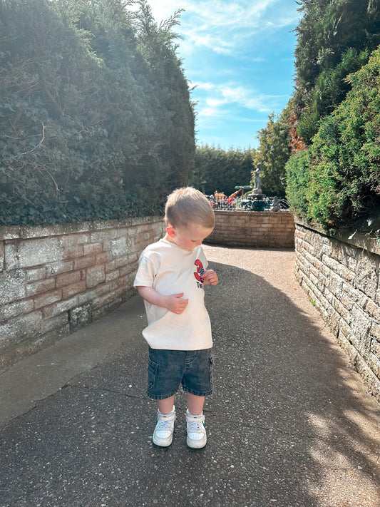 Personalised Cars Birthday Tee