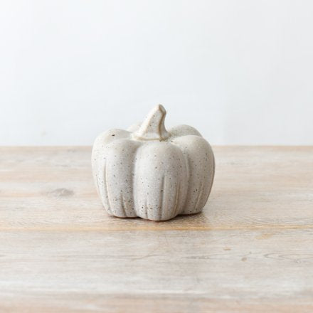 Speckled Pumpkin image 0