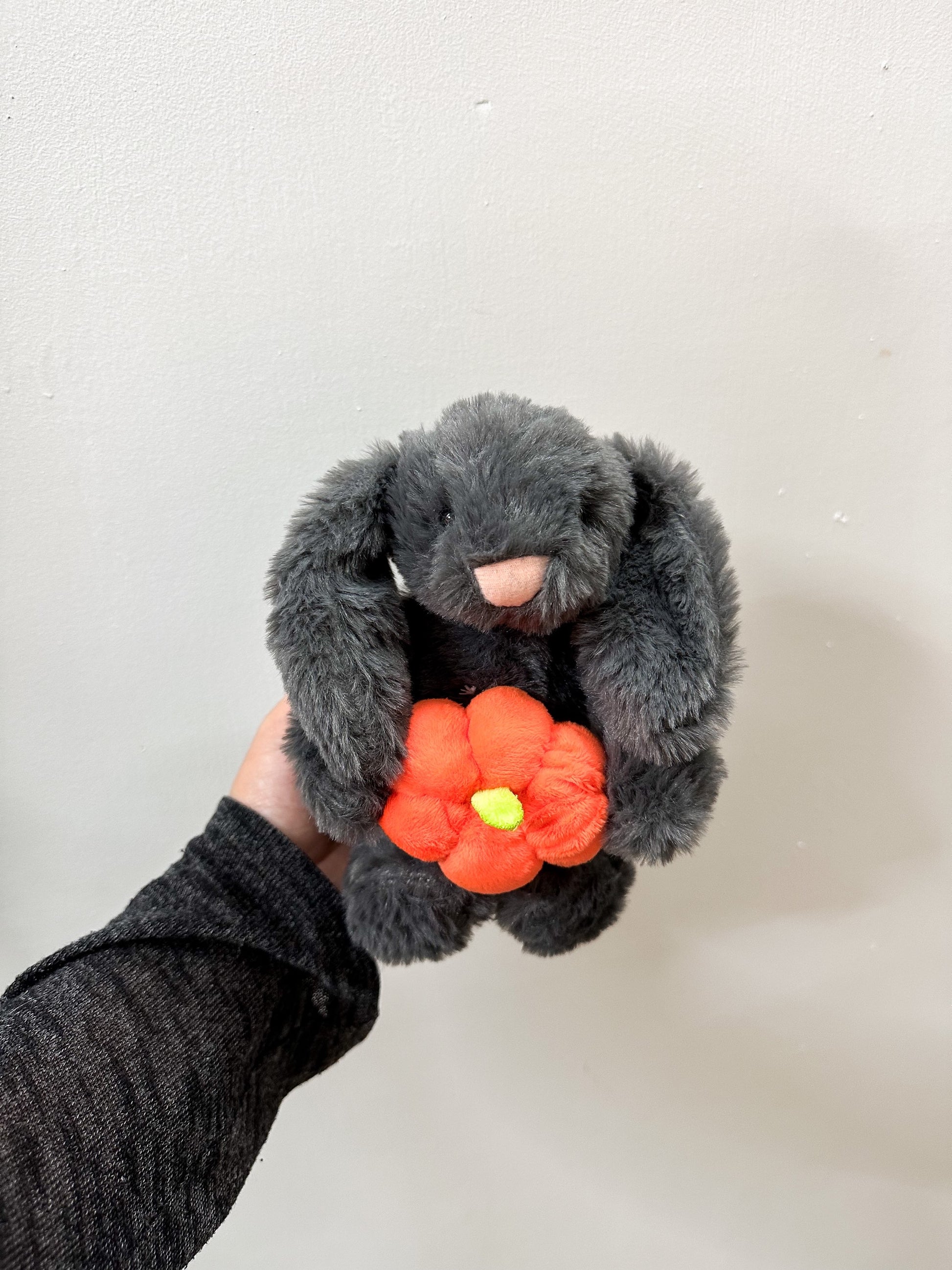 Bunny with Pumpkin image 0