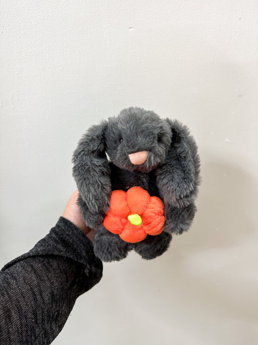 Bunny with Pumpkin image 0