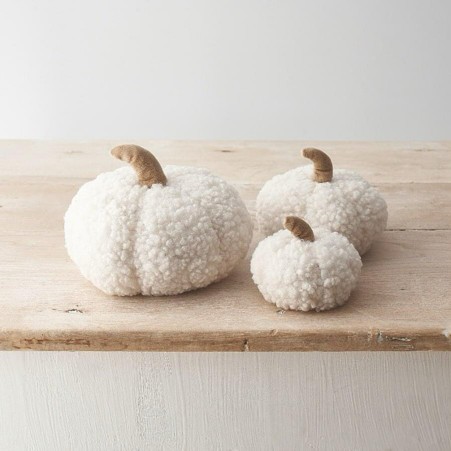 White Sherpa Pumpkin image 0
